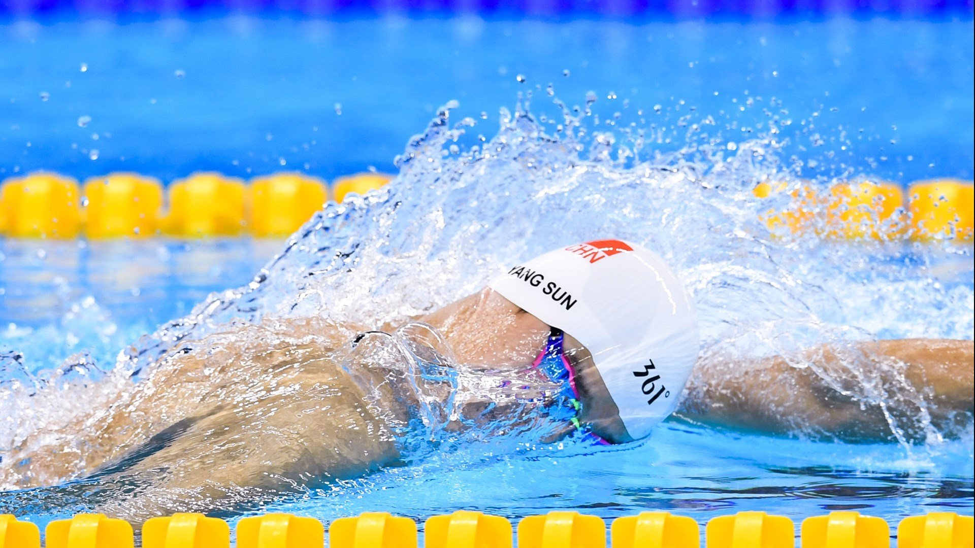 _世界风筝节:运动与艺术的融合体验_,世界风筝锦标赛